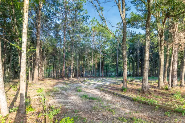 Crestview, FL 32539,000 Windsor Drive  #LOT 9