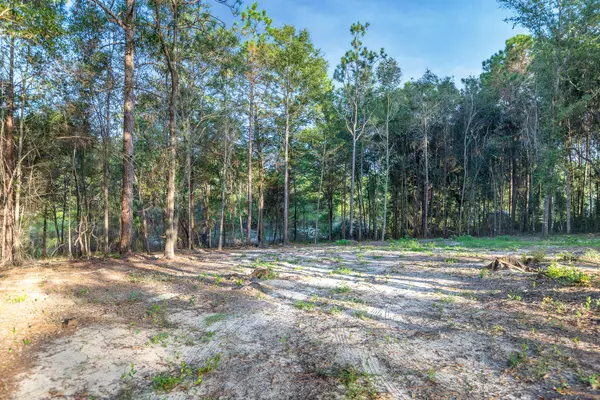 Crestview, FL 32539,000 Windsor Drive  #LOT 9