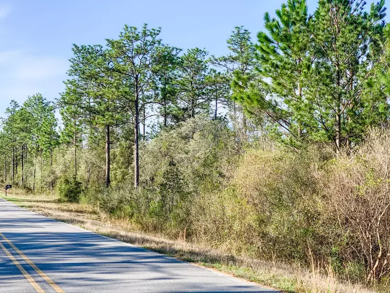 Lot 96 Blue Ridge Boulevard, Defuniak Springs, FL 32433