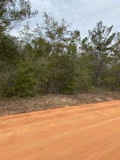 TBD E Laurel Ln, Defuniak Springs, FL 32433