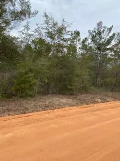 TBD E Laurel Ln, Defuniak Springs, FL 32433