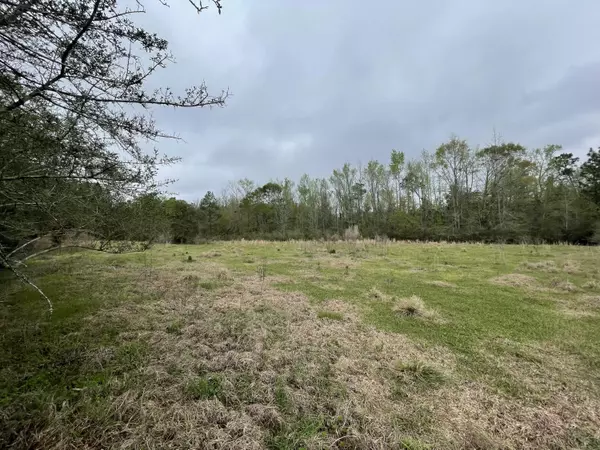 Milton, FL 32570,23 +/- AC J D Peaden Road