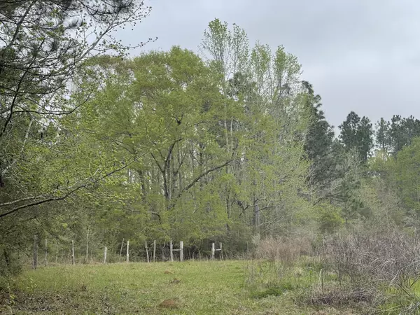 23 +/- AC J D Peaden Road, Milton, FL 32570