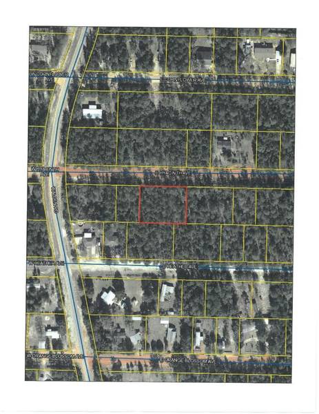 0.46 Acre Hyacinth Ave E, Defuniak Springs, FL 32433