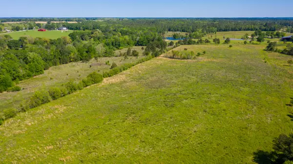 Laurel Hill, FL 32567,60 acres Long Road