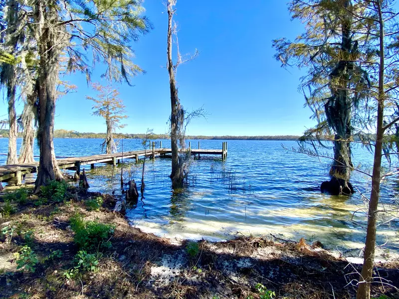 xx Lake Jackson Waterfront Lot, Florala, AL 36442