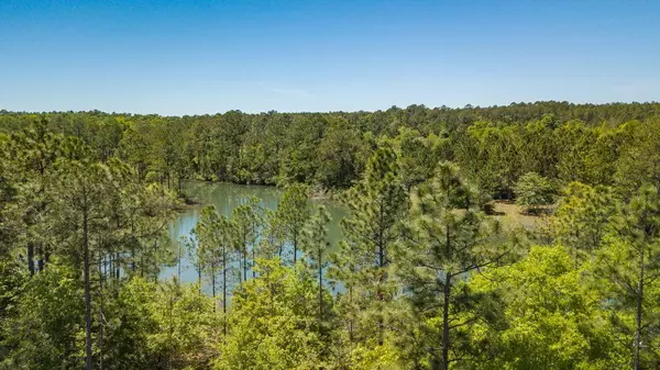 Crestview, FL 32536,26 AC Currie Road  #Parcel G & F