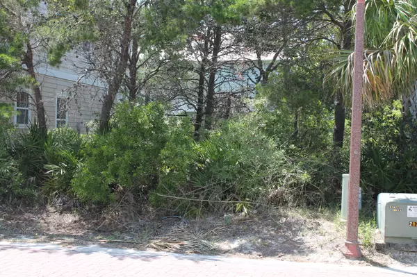 Inlet Beach, FL 32461,Lot 7 Lazy Day Lane  #LOT 7