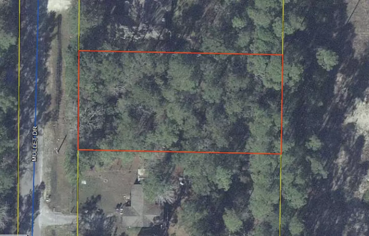 Freeport, FL 32439,0.459 Acre Mullet Drive