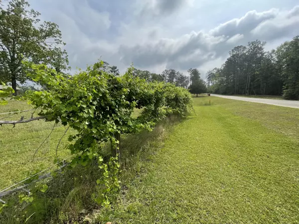 12.49 AC StateLine Road, Baker, FL 32531