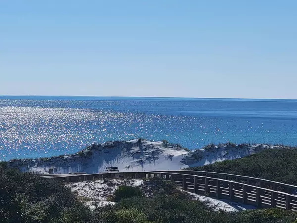 Inlet Beach, FL 32461,99 S Compass Point Way  #UNIT 402