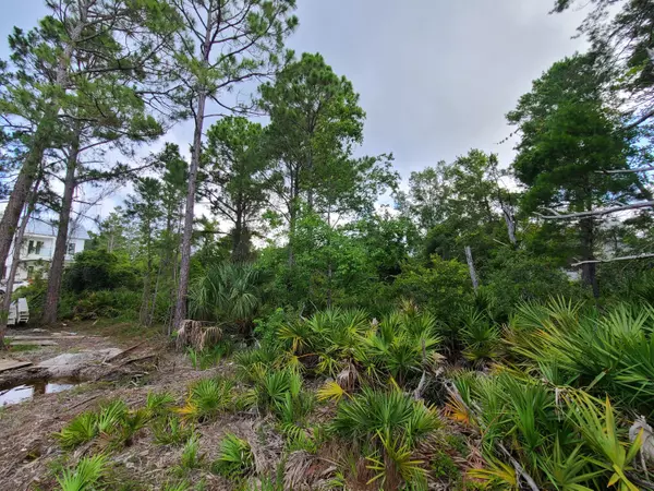 Santa Rosa Beach, FL 32459,Lot 24 Dalton Drive