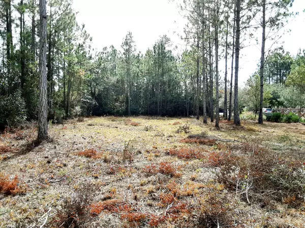 Freeport, FL 32439,Lot 9 BEAR CREEK