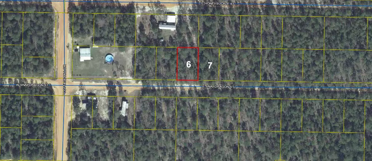 Defuniak Springs, FL 32433,Lots 6 & 7 E Snapdragon Street