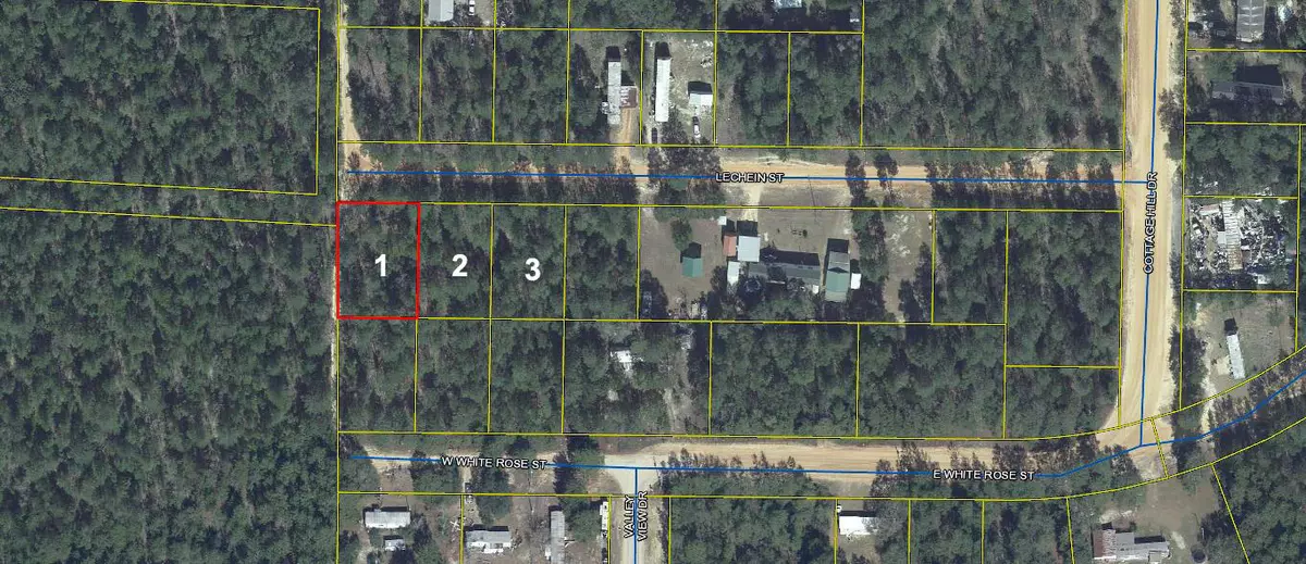 Defuniak Springs, FL 32433,Lots 1-3 Lechein Street