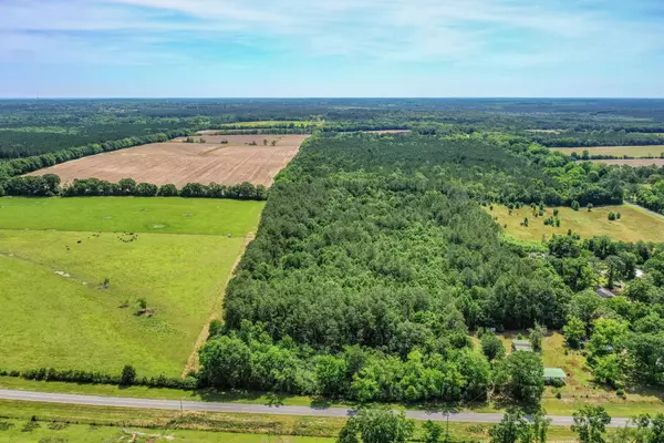 Laurel Hill, FL 32567,19 AC CO HWY 147 W