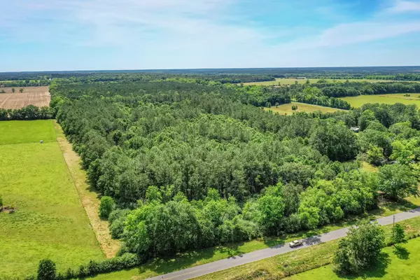 Laurel Hill, FL 32567,19 AC CO HWY 147 W