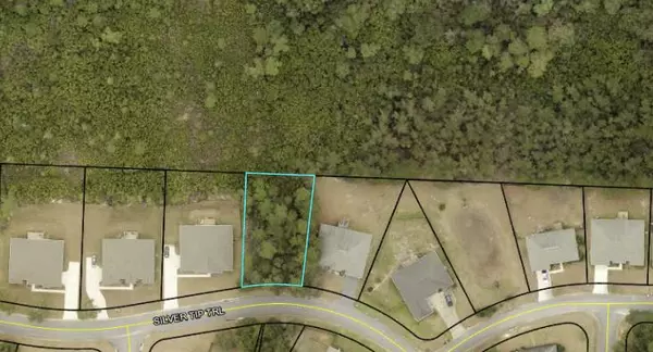 806 Silver Tip Trail, Crestview, FL 32536