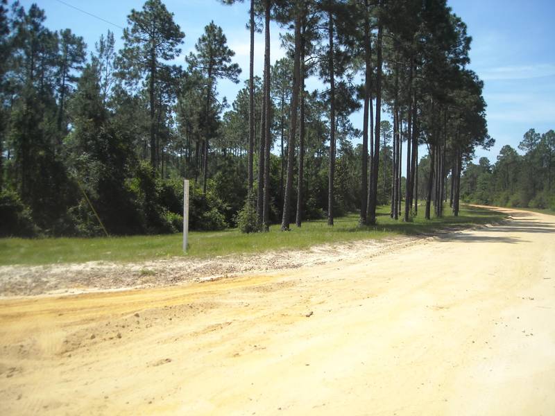 Lot D1A Planters Drive, Laurel Hill, FL 32567