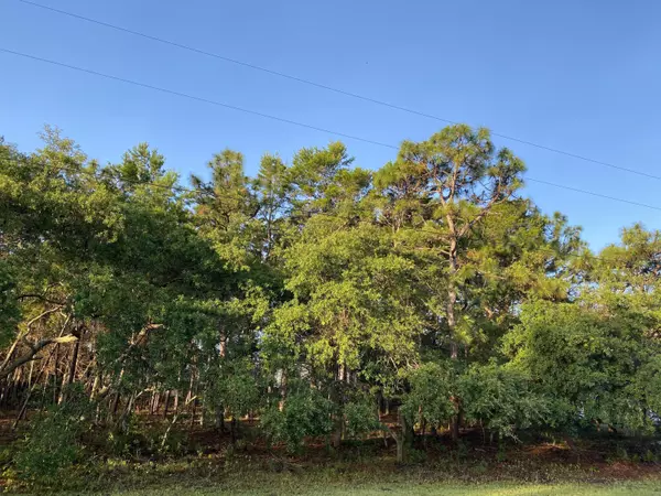 Santa Rosa Beach, FL 32459,Lot 17 Sugar Cove Road