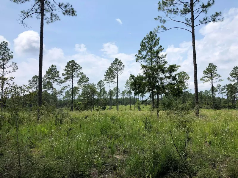 20 ACRES BUCK TYNER, Laurel Hill, FL 32567