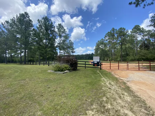 Laurel Hill, FL 32567,XXX Meander  Creek Lane