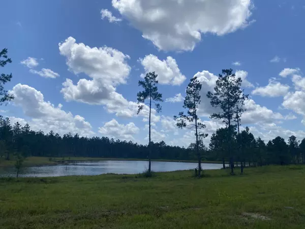 Laurel Hill, FL 32567,XXX Meander  Creek Lane