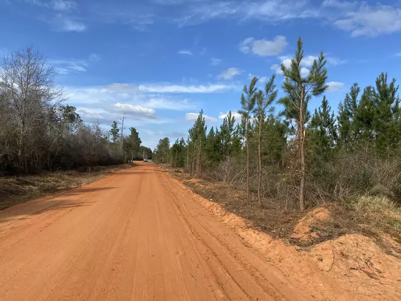 7+/- AC Peaden Hill Road  #Parcel J-East, Milton, FL 32570