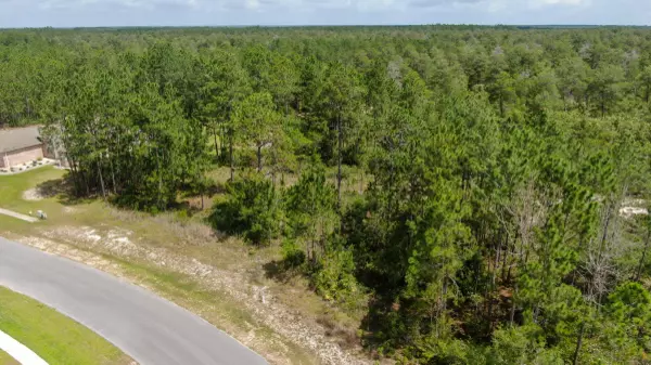 Freeport, FL 32439,Lot 17A Brushed Dune Circle