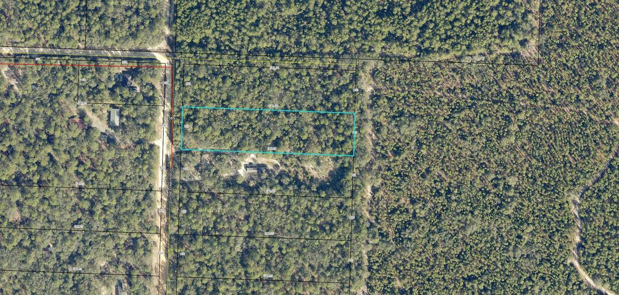 1005 Lonesome Pine Street, Holt, FL 32564