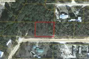 Defuniak Springs, FL 32434,Lot 1 Pinetree Lane