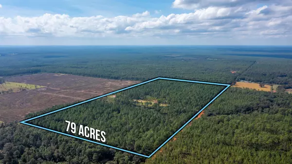 Baker, FL 32531,79 acres Bob Brooks Road