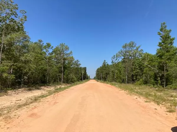 Defuniak Springs, FL 32433,Lot 12 E Violet