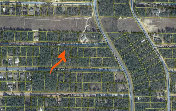 Defuniak Springs, FL 32433,Lot 12 E Violet