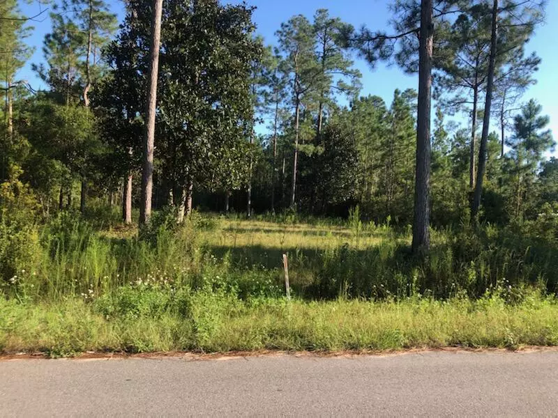 Defuniak Springs, FL 32433,8 Lake Rosemary Court