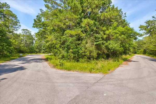 Freeport, FL 32439,Lot 29 Island Grove Drive