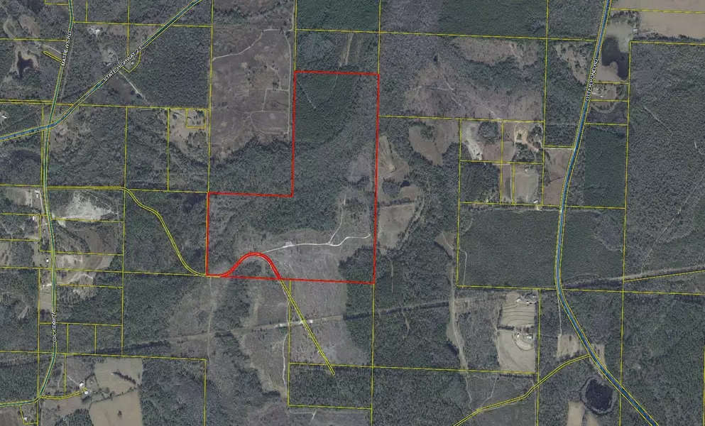 182 Acres Yorkey Road, Westville, FL 32464