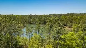 Crestview, FL 32536,10 AC Currie Road  #Parcel D