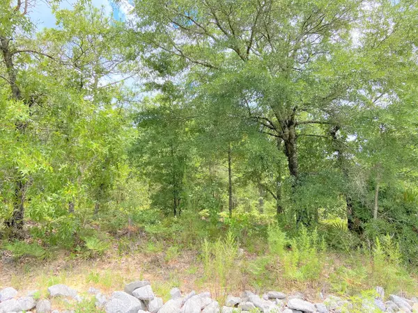 Defuniak Springs, FL 32433,Lot 18 Trout Drive