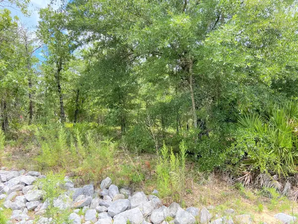 Defuniak Springs, FL 32433,Lot 18 Trout Drive