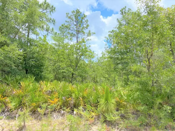 Defuniak Springs, FL 32433,Lot 19 Trout Drive