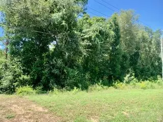 Freeport, FL 32439,000 HWY 20 Lot 26 Block B