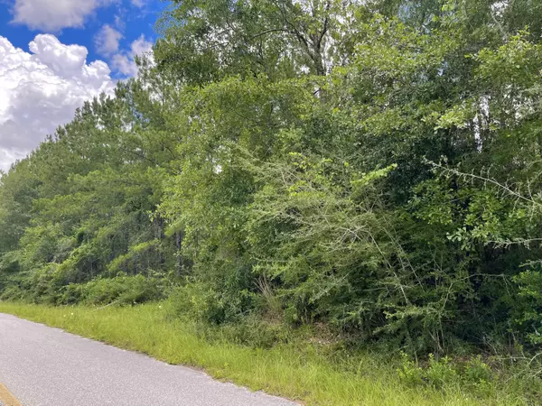 Jay, FL 32565,Lot 7 Pineview Church Road