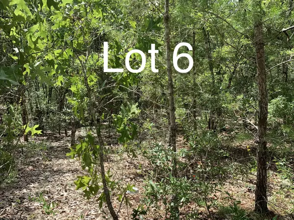 Defuniak Springs, FL 32433,Lot 6 Oakridge Road