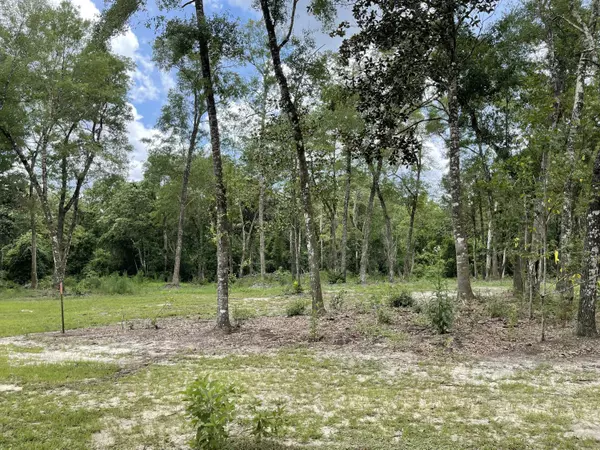 Defuniak Springs, FL 32433,381 Fairfield Drive