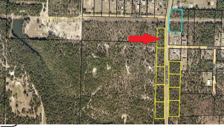 Crestview, FL 32539,0 Mt Olive Road  #Lot 10