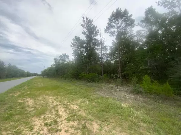 Crestview, FL 32539,0 Mt Olive Road  #Lot 8