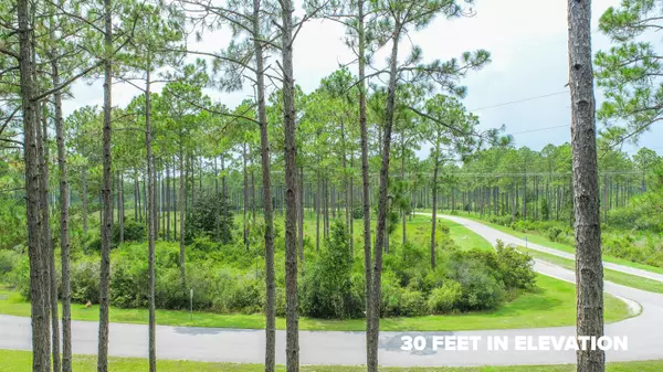 Panama City Beach, FL 32413,7644 Coastal Hammock Trail  #Lot 230