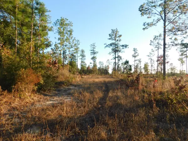 Baker, FL 32531,33+/-AC Highway 4 Road