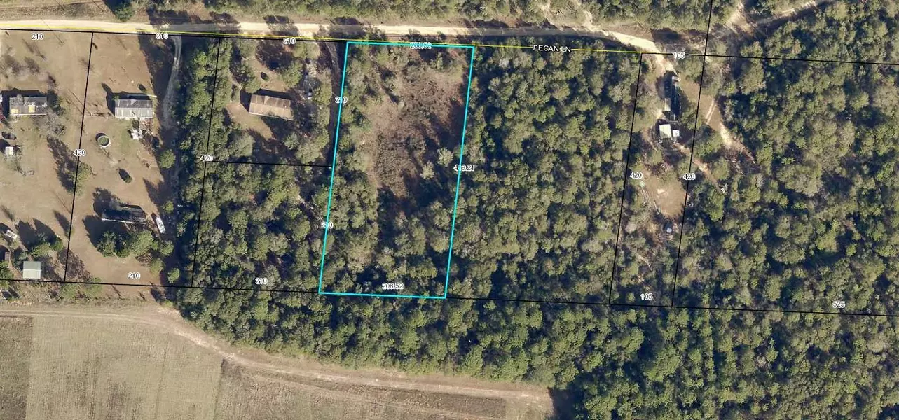 TBD Pecan Lane, Holt, FL 32564